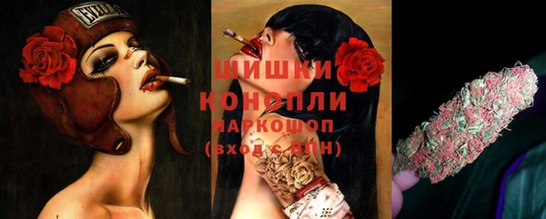 твердый Корсаков