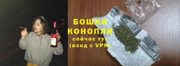 твердый Корсаков