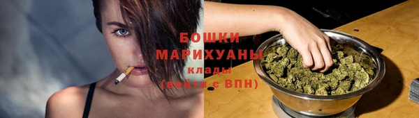 твердый Корсаков