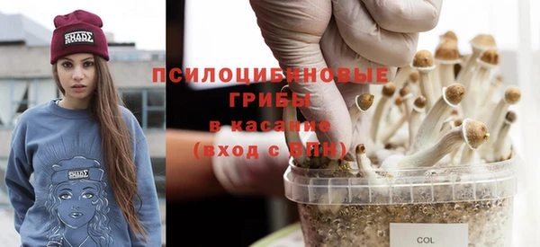 твердый Корсаков
