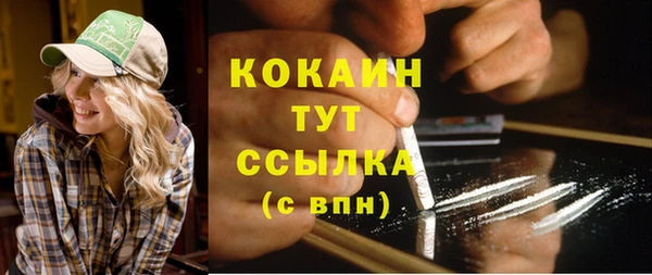 гидропоника Коряжма